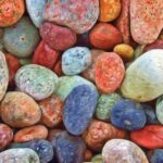 ŞİİR DİLİN BÜYÜLÜ BAHÇESİDİR: SELAMİ KARABULUT’LA SÖYLEŞİ