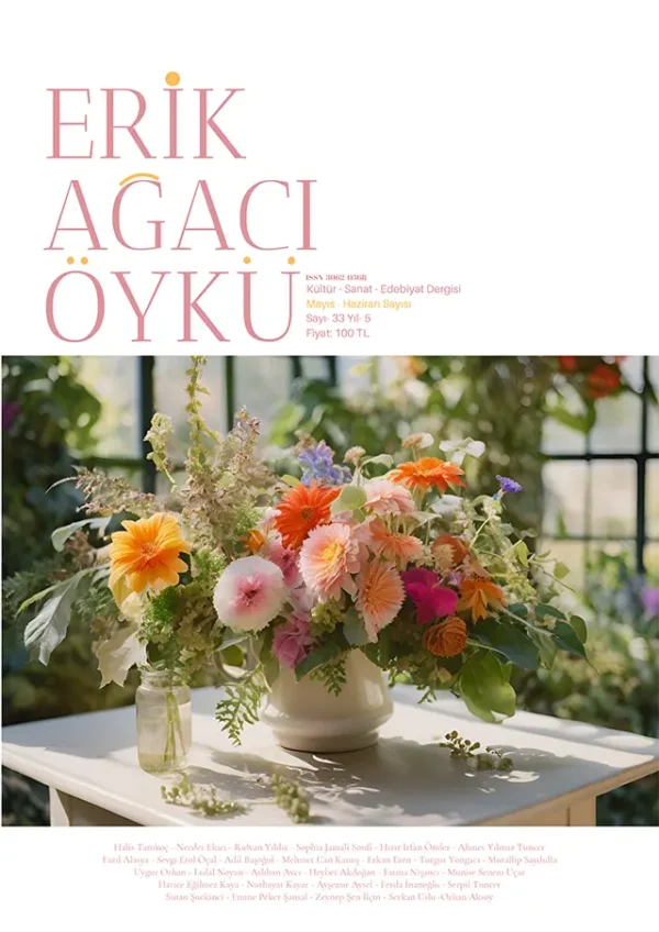Erik Ağacı Öykü Dergisi (Mayıs-Haziran 2025 - Sayı 33)
