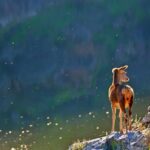 KÖTÜ BİR ALIŞKANLIKTIR HAYAT