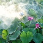 ISLAKLIĞI VAR HÂLÂ TADINLA