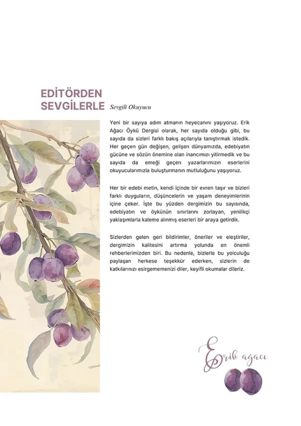 Erik Ağacı Öykü Dergisi (Eylül-Ekim 2025 - Sayı 35) - Görsel 3